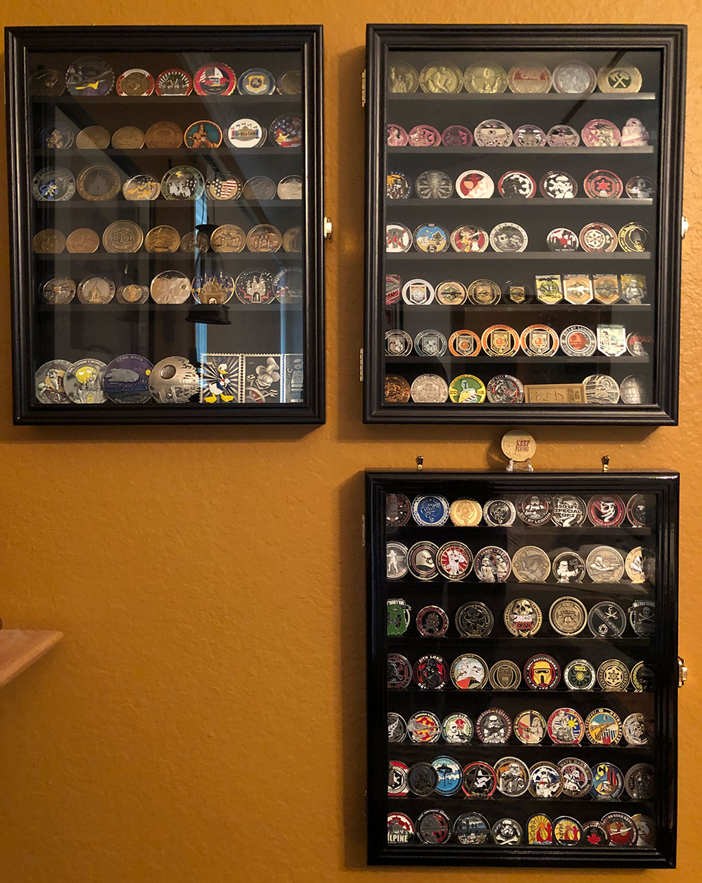 coin-cases.jpg
